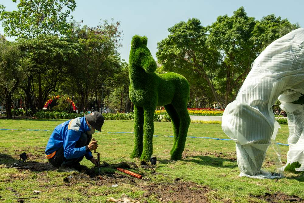 Tuoi nuoc giu am cho cac tham hoa trang tri quanh chan linh vat, dam bao sac hoa tuoi tham nhat trong ngay khai mac