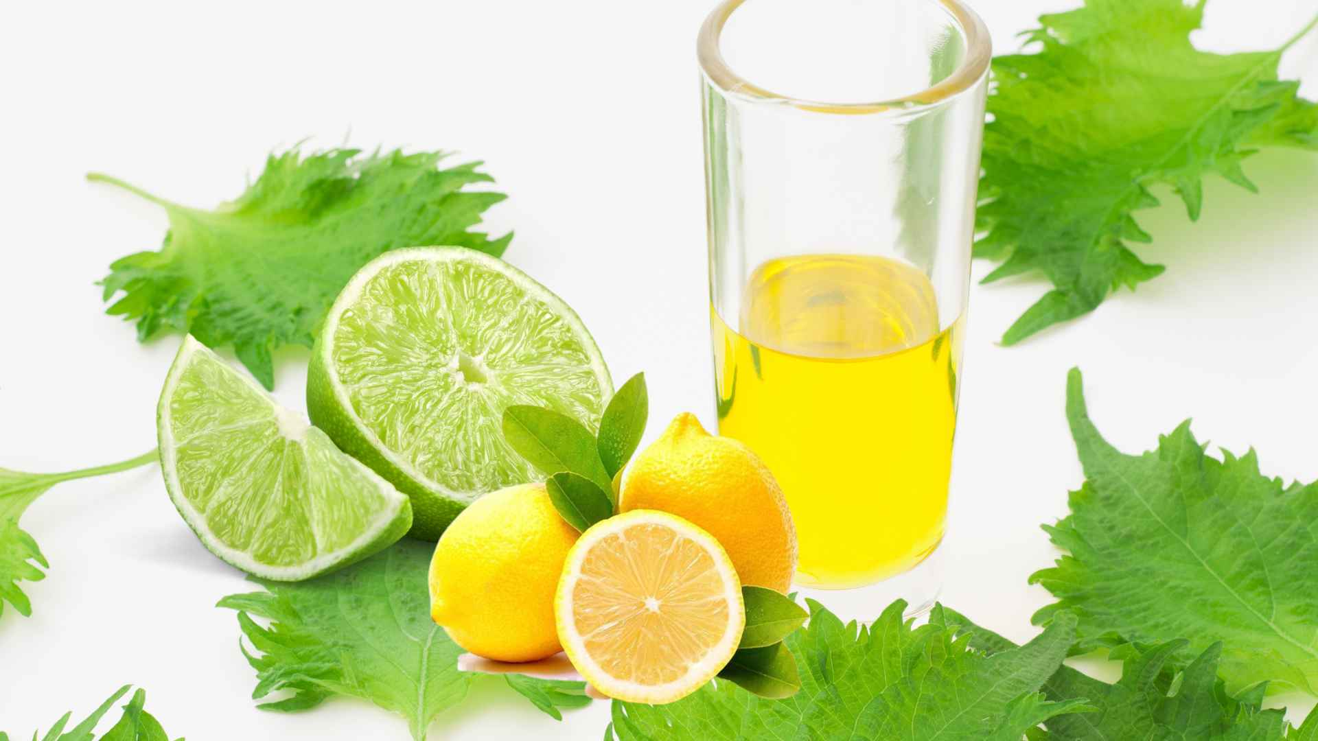 Drinking perilla leaf water mixed with lemon properly helps the body feel lighter. Graphic photo: Huong Son