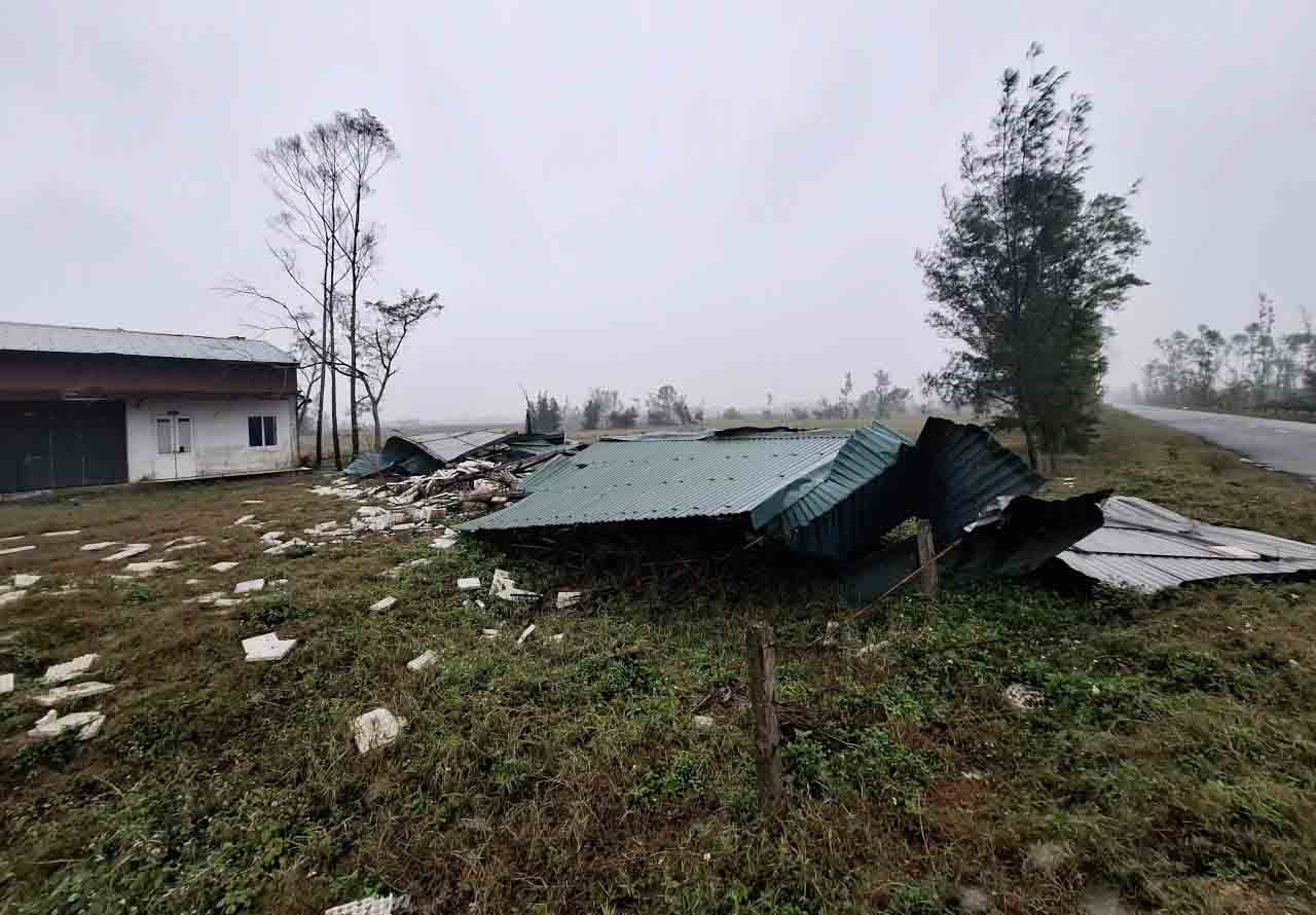 Nhin du an tan tac, bo hoang dat nhieu nam nay khien nhieu nguoi xot xa. Anh: Tran Tuan.