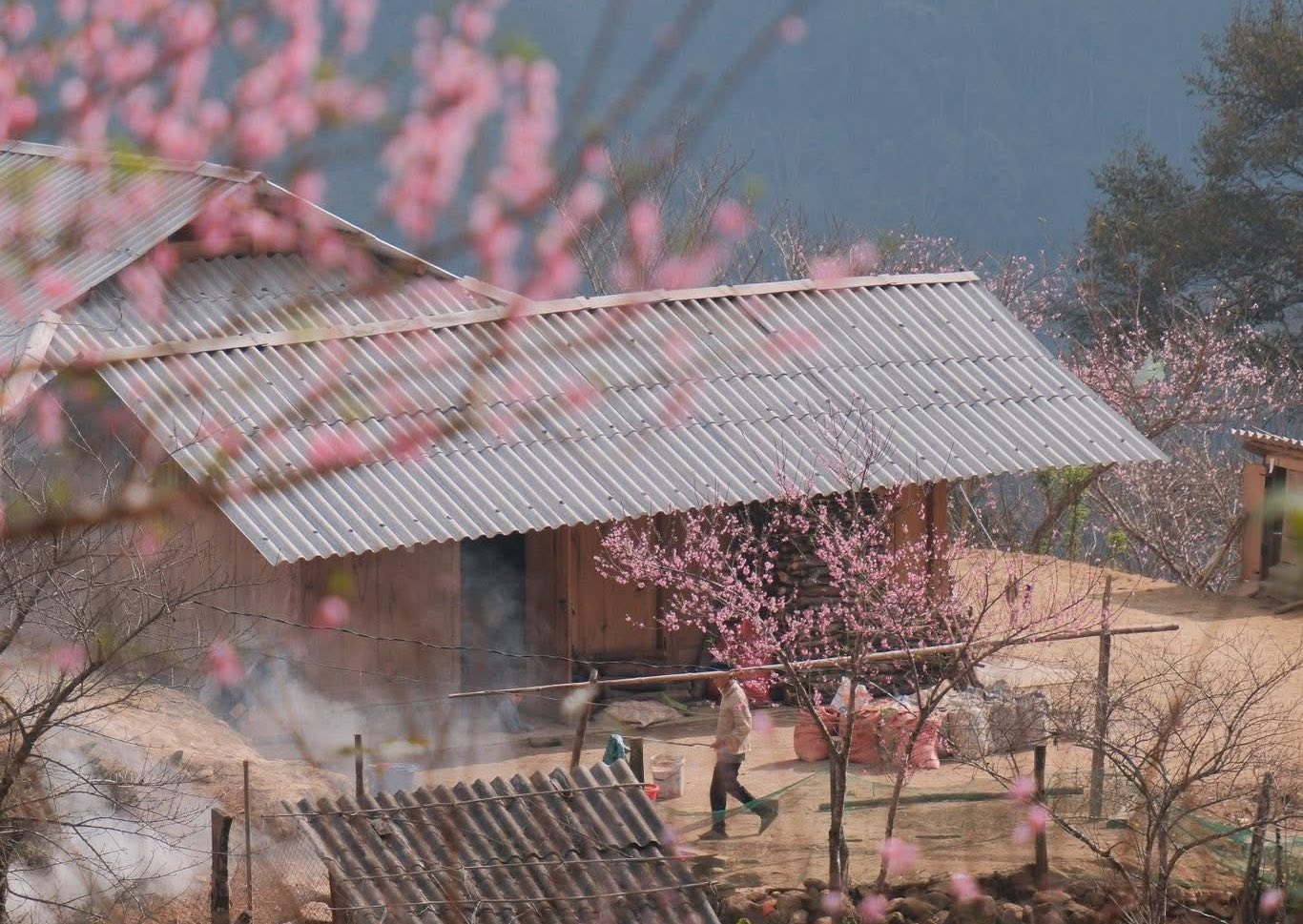 Ảnh: Diệp Hữu Đạt