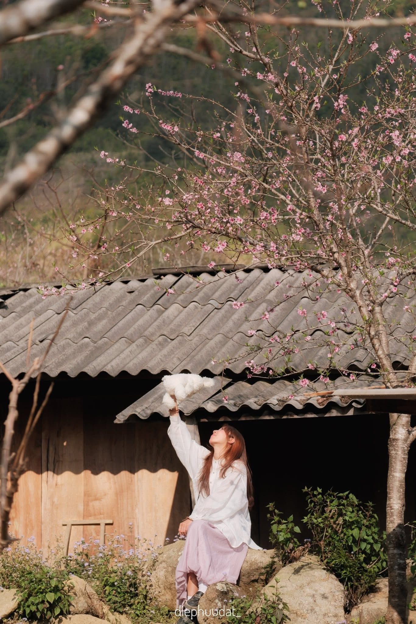 Ảnh: Diệp Hữu Đạt