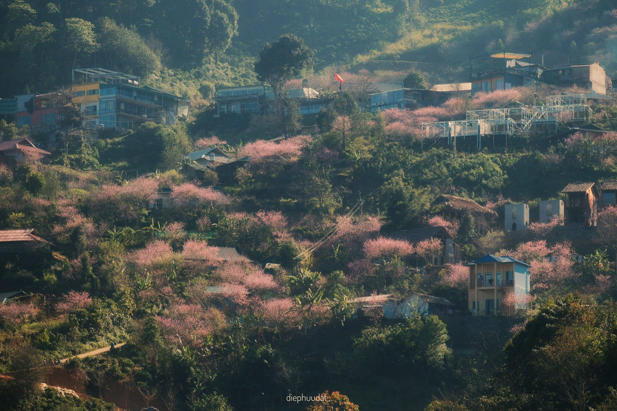 Ảnh: Diệp Hữu Đạt