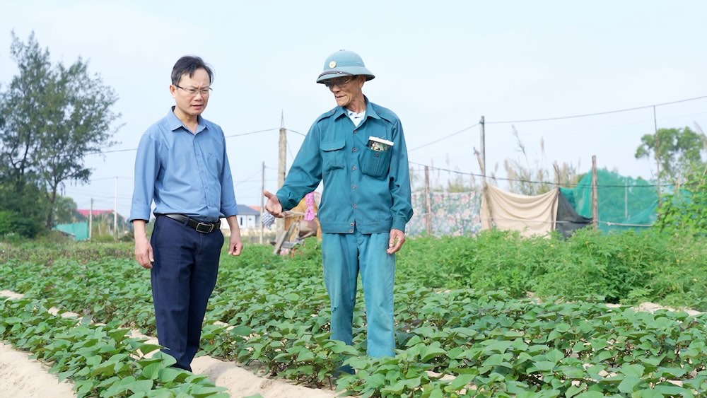 Farmers apply techniques to grow clean vegetables. Photo: Cong Sang