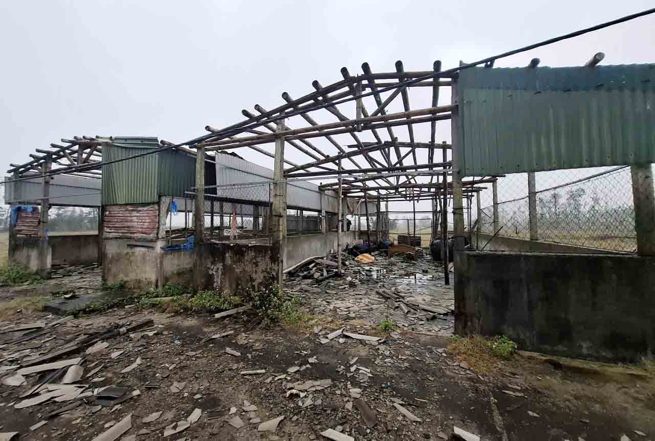 Current status of FLC high-tech agricultural project abandoned for many years in Ha Tinh. Photo: Tran Tuan