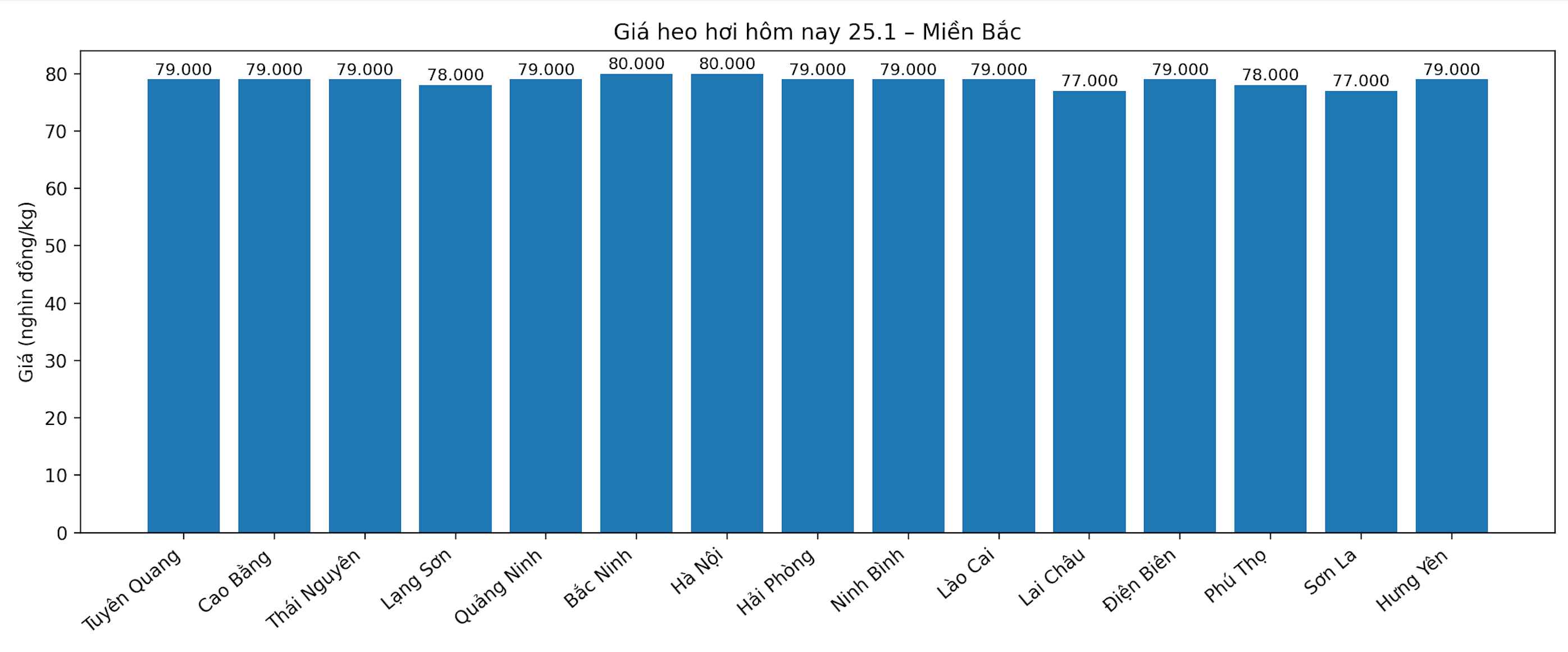 Gia heo hoi hom nay 25.1 tai khu vuc mien Bac. Do hoa: Phuong Anh