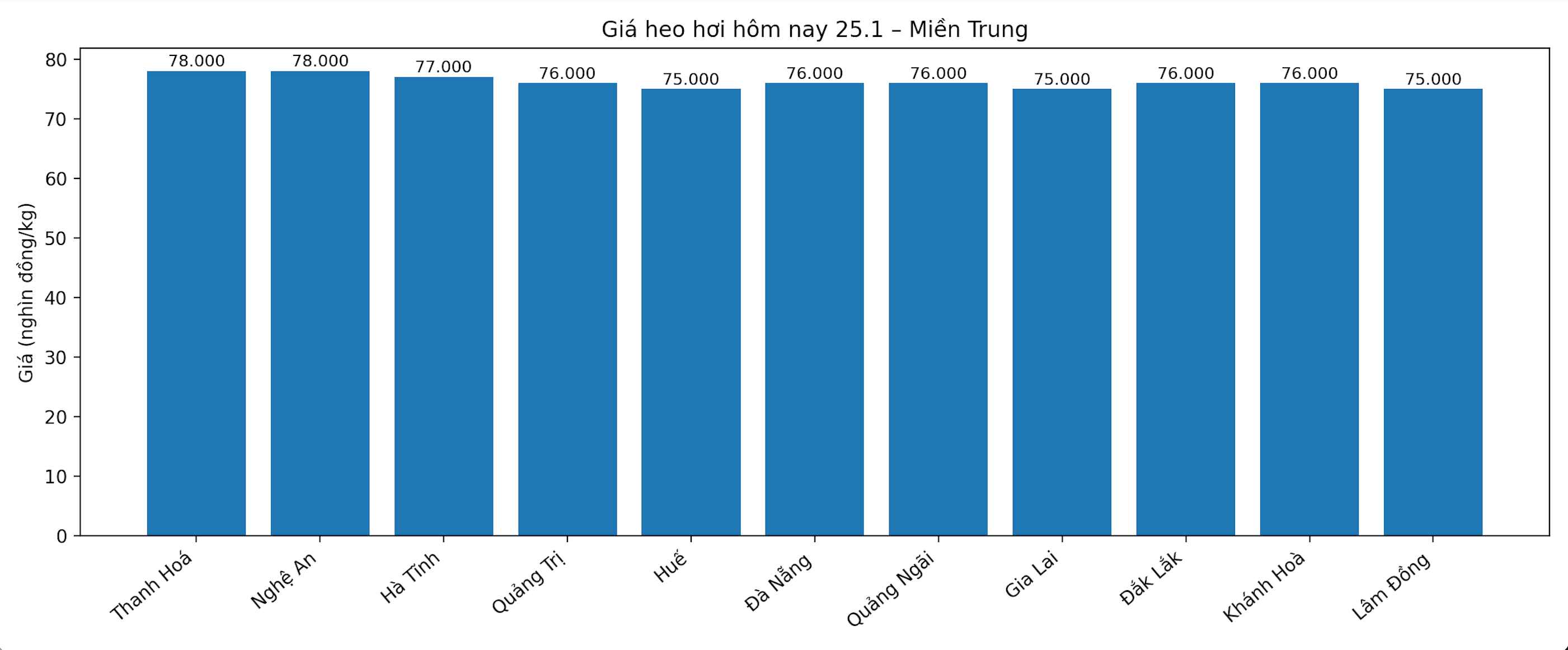 Gia heo hoi hom nay 25.1 tai khu vuc mien Trung. Do hoa: Phuong Anh