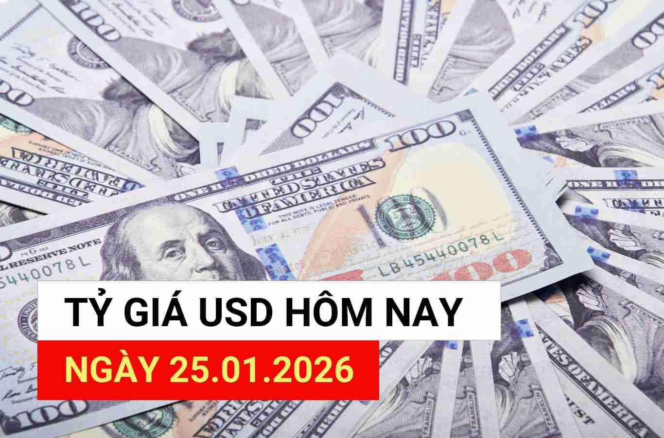 USD exchange rate today 25.1.2026.