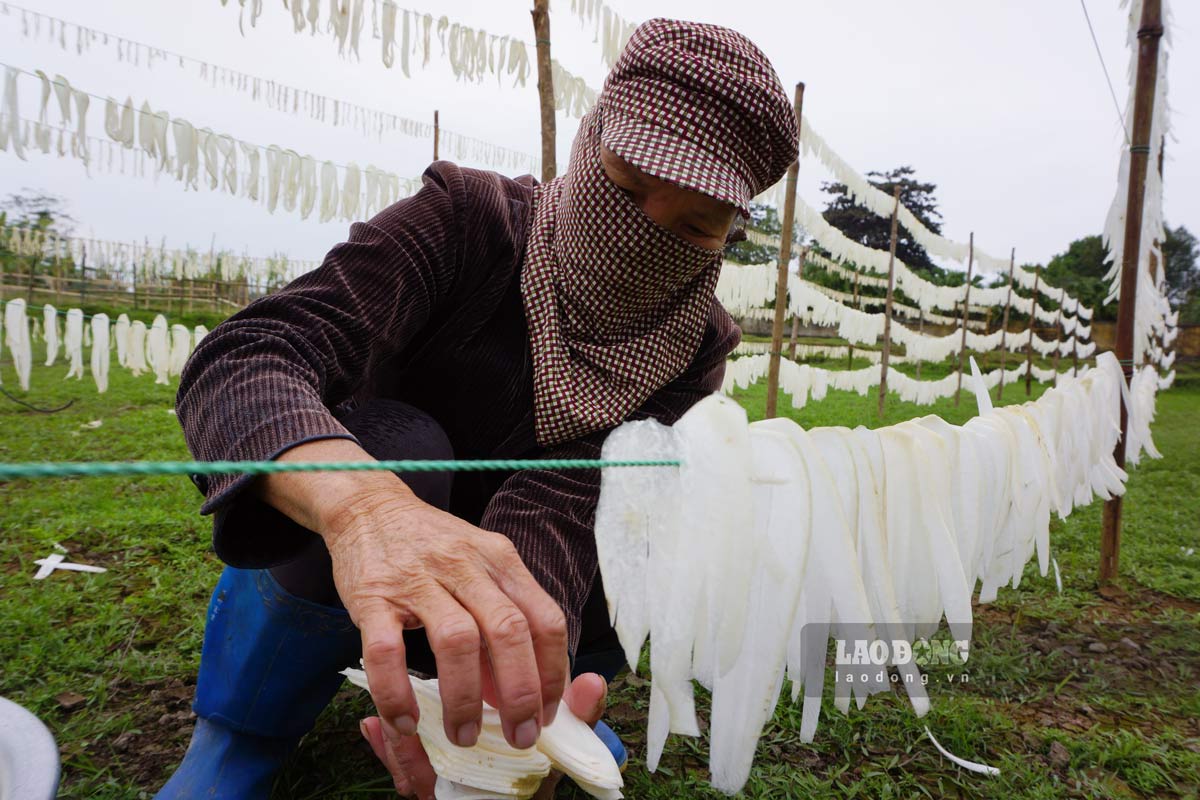People in Dam Ha commune, Quang Ninh province drying radishes. Photo: Doan Hung