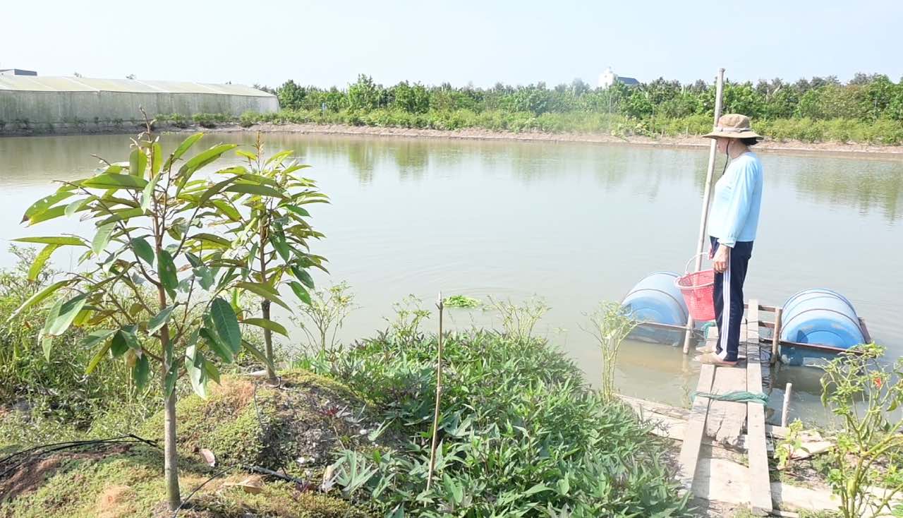 Nguoi dan o tinh Dong Thap tich tru nuoc trong ao de tuoi cay khi han man xay ra. Anh: Thanh Nhan