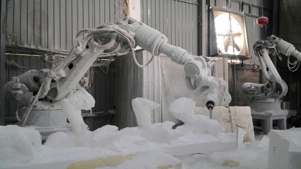 Robot ho tro che tac linh vat. Anh: Minh Tam