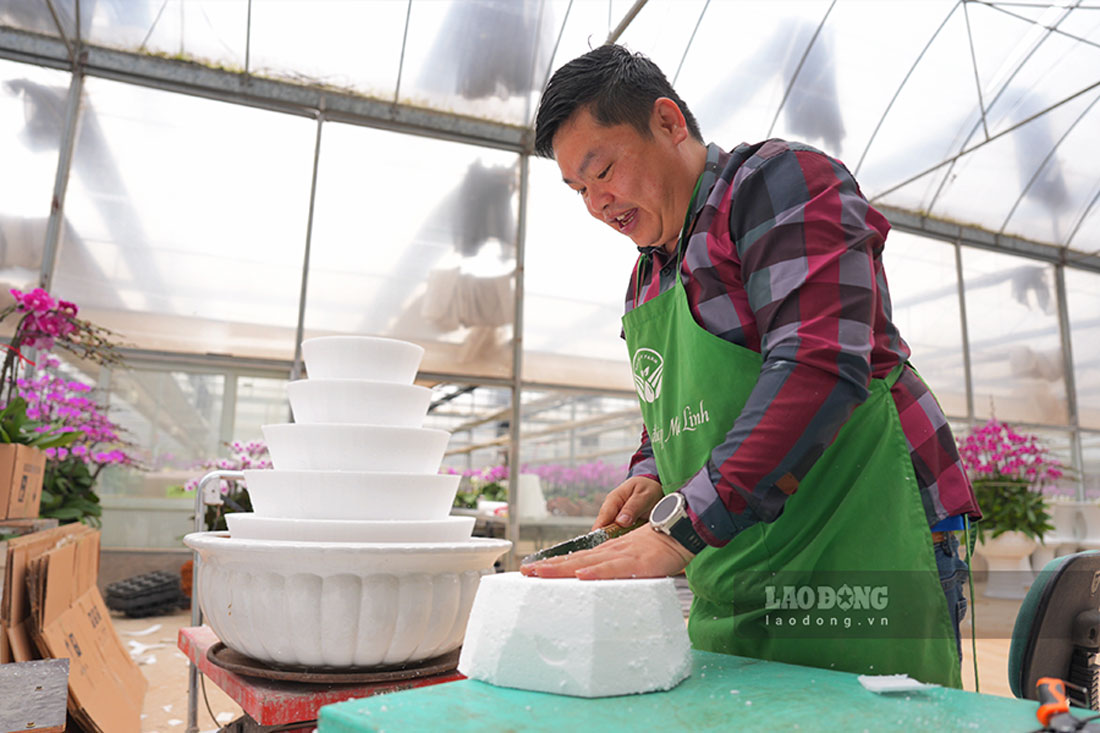 Su bung no cua thi truong khong chi mang lai doanh thu lon cho cac nha vuon ma con tao them thu nhap cho nguoi lao dong thong qua viec tang ca de kip dap ung don hang.