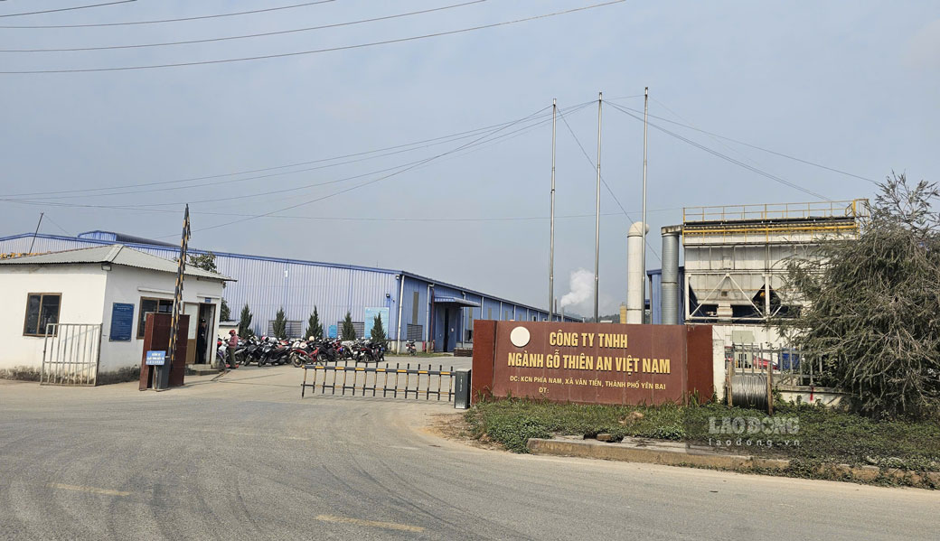 Công ty TNHH nganh go Thiên An Viêt Nam thưong Tet Dương lich cao nhat 8 triêu dong