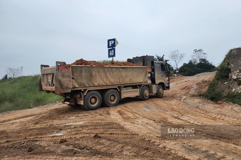 Xe tai cho dat duoc muc len va do den noi khac. Anh: Quoc Huy.