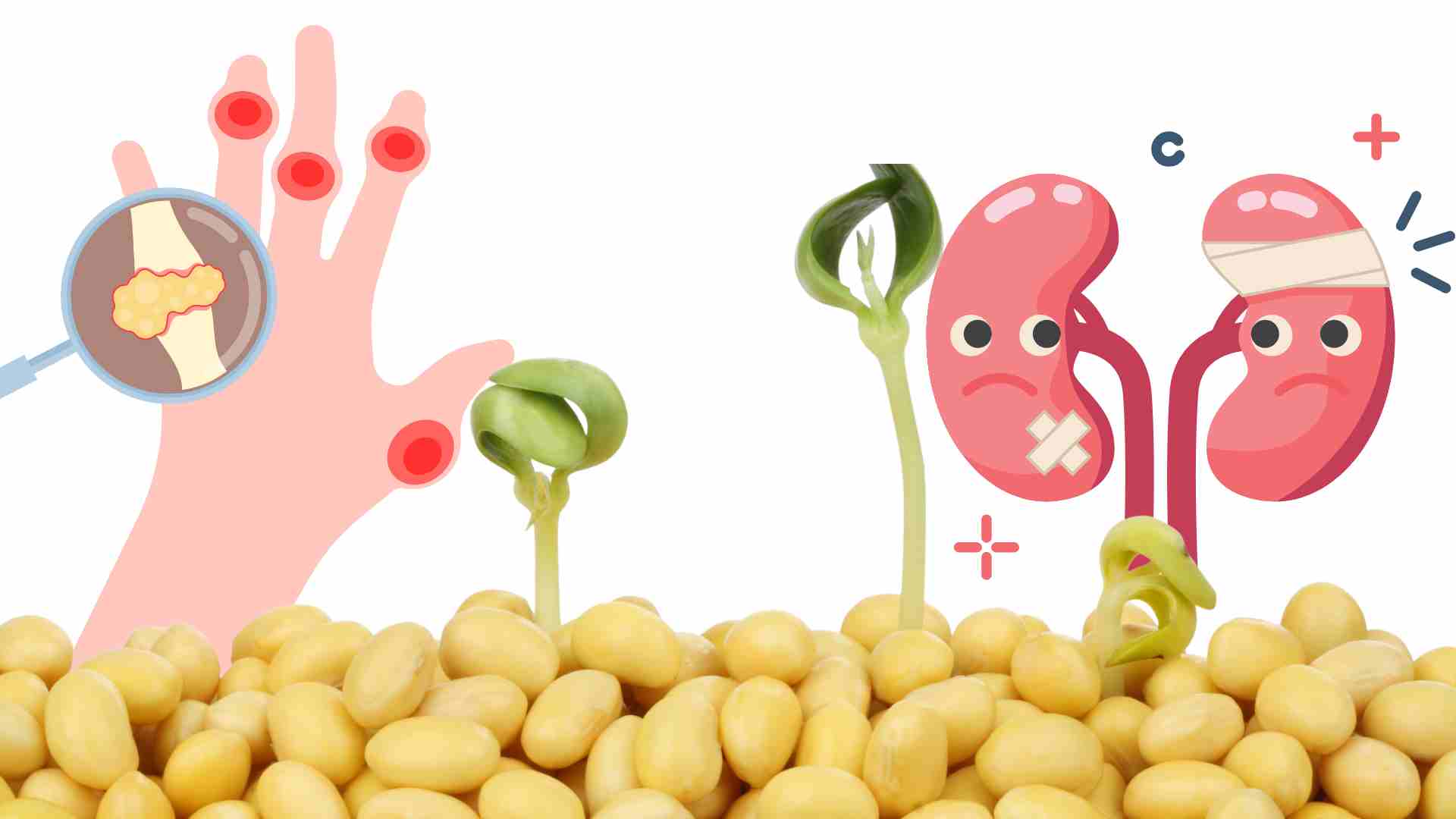 Soy products are not good for people with kidney disease, high uric acid. Graphics: Ha May