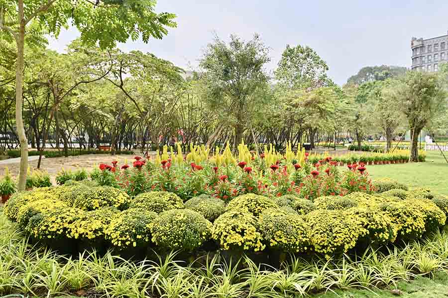 Khong gian canh quan duoc dau tu theo chu de “rung sinh thai trong long do thi”, voi he sinh thai cay xanh da tang gom cac loai cay than lon nhu sanh, giang huong, loc vung, cha la, ken hong… ket hop hoa va cay canh tao mang xanh ben vung. Khu quang truong trung tam gay an tuong voi bai co thiet ke hinh dan ngua - linh vat Tet Binh Ngo 2026, cung hang chuc nghin loai hoa du sac mau. 