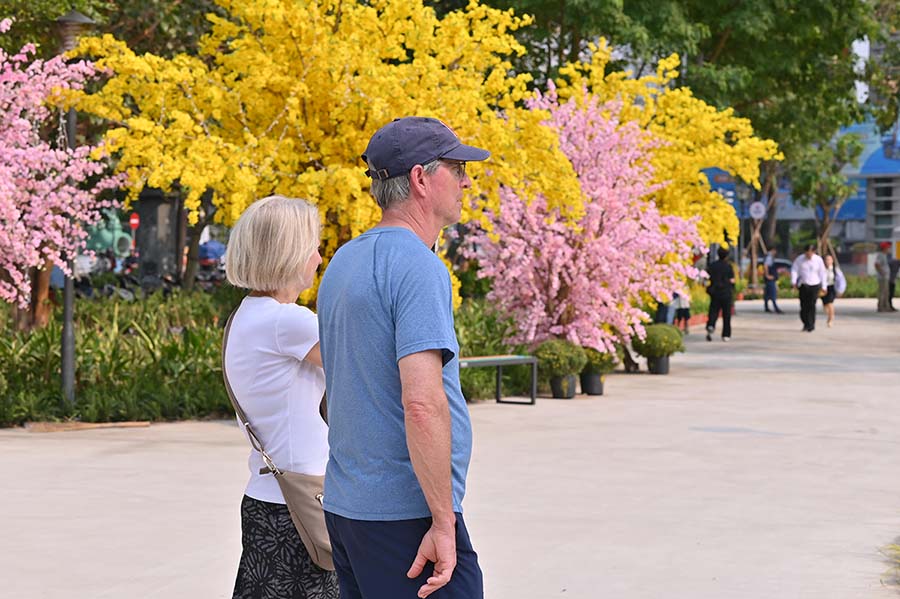 Cac tieu canh hoa, mai, dao duoc trang tri tao khong khi Tet.