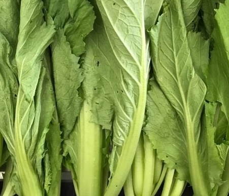 Green mustard greens are good for eyesight, workers should add them to their diet. Photo: Kieu Vu