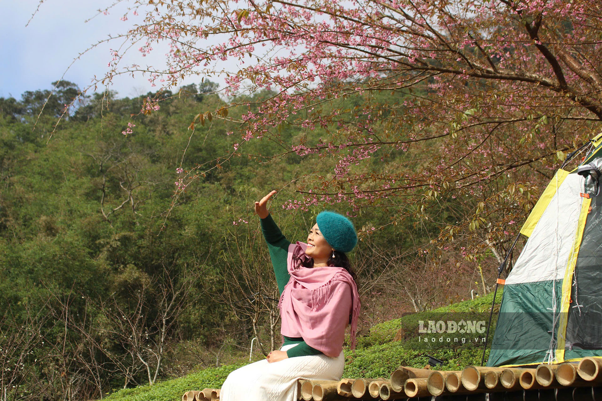  Hiện tại, giá vé vào khu hoa mai anh đào là 100.000 đồng/người, giá vé vào vườn cải là 20.000 đồng/người. Du khách tới xóm Mừng có thể chọn lưu trú qua đêm, hoặc nếu về trong ngày cần lưu ý thời gian do càng về tối, đường núi có sương giăng khiến ảnh hưởng tầm nhìn.