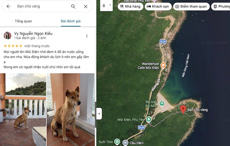 “Ban cho vang” tai diem du lich Mui Dien duoc cham diem 5 sao. Anh: Google Maps