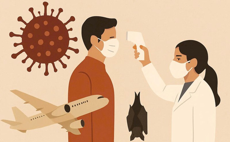 Virus Nipah gây tử vong tới 75% nhưng khó bùng dịch nếu phòng ngừa tốt
