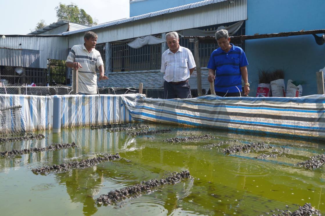 Nha ong Mai Dung co 4 be nuoi ech, trong do co mot be nho de ap trung. Anh: Ta Quang