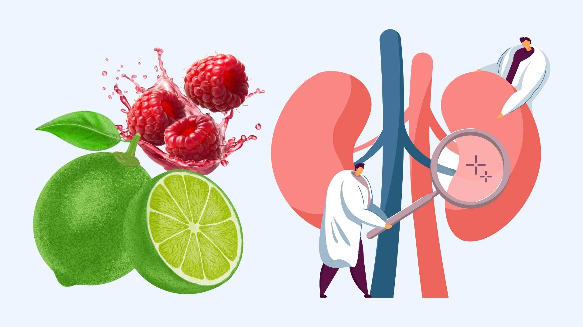 Seemingly healthier kidneys thanks to this food every week. Graphics: Linh Dan