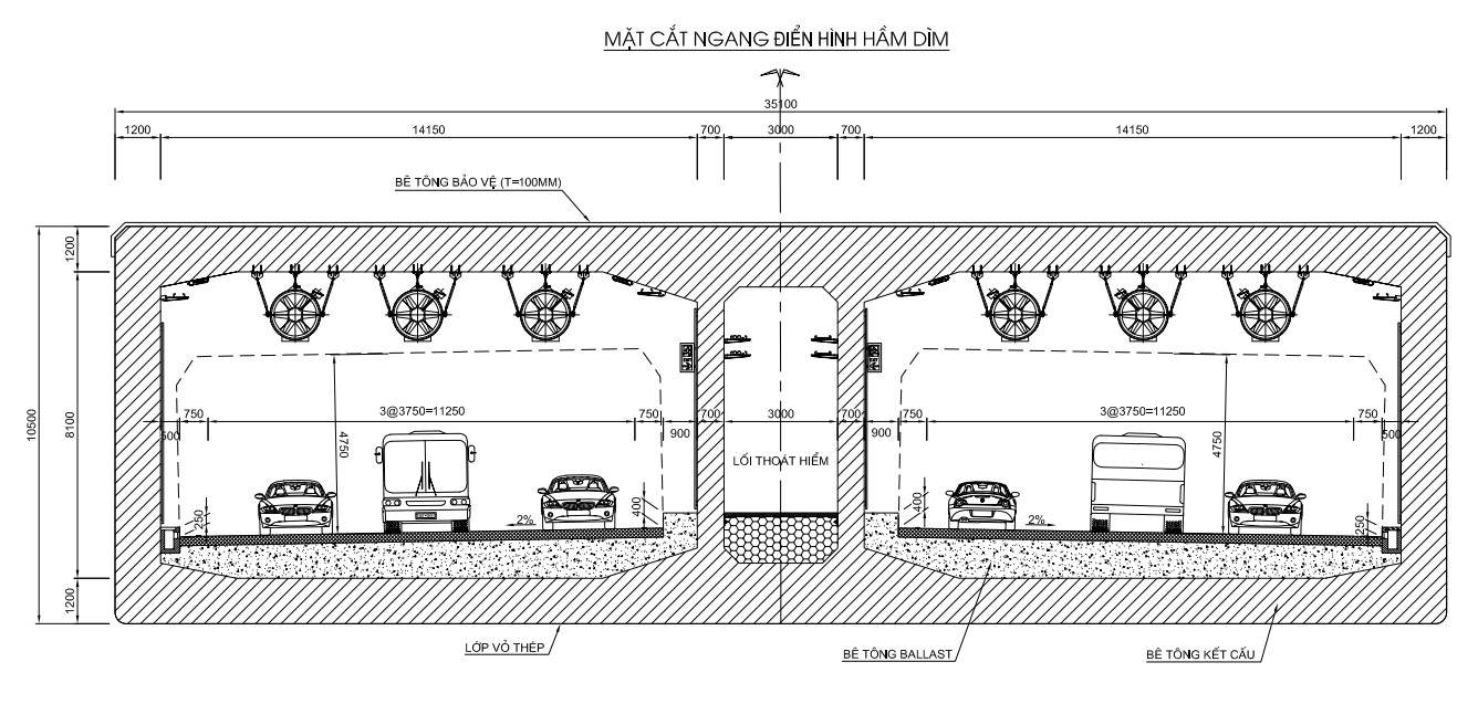 Mat cat ngang ham dim. Anh: Tedi