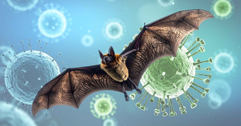 Old Foe Returns: Nipah Virus Threat in India — What You Should Know