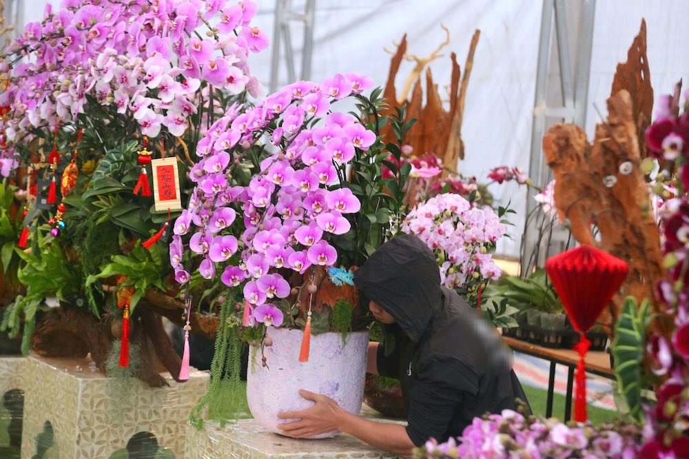 Dang chu y, nhieu co so kinh doanh da tao diem nhan bang cac tac pham lan ho diep ghep tren go lua. Nhung khuc go tu nhien co the doc, dang uon luon duoc tuyen chon ky, ket hop lan, reu xanh va tieu canh, tao nen cac san pham mang tinh nghe thuat cao.