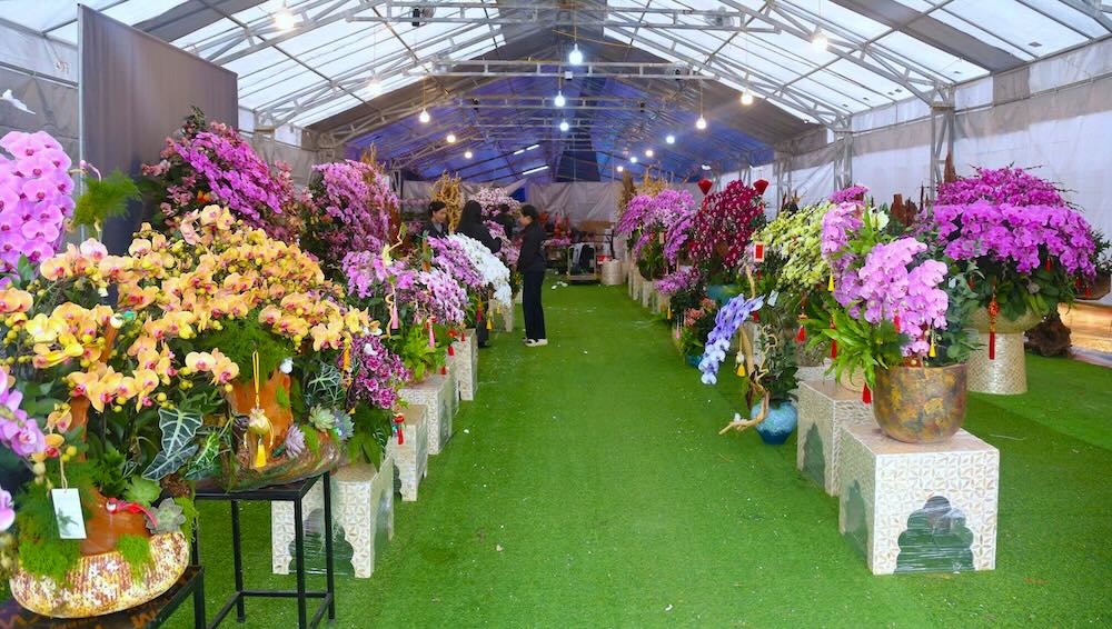 Nhung ngay can Tet Nguyen dan 2026, doc cac tuyen duong trung tam tinh Nghe An, dac biet khu vuc Dai lo Le Nin (phuong Vinh Phu), thi truong hoa Tet tro nen soi dong voi su xuat hien day dac cua lan ho diep. Cac cua hang dong loat trung bay nhieu mau lan cao cap, huong toi phan khuc khach hang co nhu cau choi hoa sang trong dip Tet.