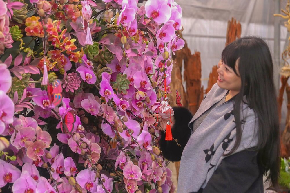 Chi Le Thi Bong, chu mot cua hang hoa lan tren Dai lo Le Nin, cho biet phan lon san pham duoc lam theo don dat hang. “Khoang 80% chau lan tai cua hang la khach dat truoc. Tu ngay 10–15 thang Chap, cua hang bat dau giao lan; rieng lan ghep go lua phai dat som vi mat nhieu thoi gian tim go dep va hoan thien” - chi Bong chia se