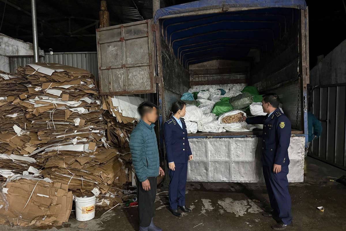 Market Management Team No. 1 discovered and handled 720 kg of smuggled pickled mustard greens and 3,120 kg of chicken feet of unknown origin. Photo: QLTT Quang Ninh