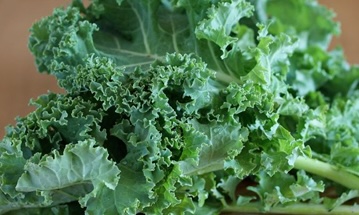 Kale is one of the good eye-health vegetables that housewives should add to their family's diet. Photo: Kieu Vu
