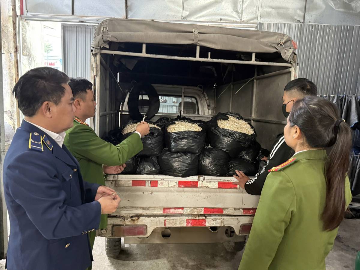 Functional forces discovered and destroyed 300 kg of bean sprouts of unknown origin. Photo: Ninh Binh Provincial Market Management Department