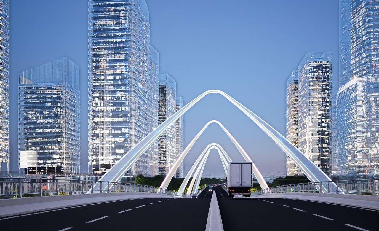 Cac cau mang ket cau vom, mo phong re cay duoc dac trung cua khu Nam TPHCM. Anh: So Xay dung TPHCM