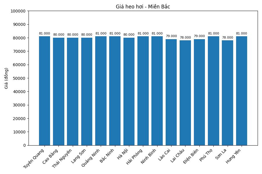 Gia heo hoi hom nay 28.1 tai khu vuc mien Bac. Do hoa: Thuy Linh
