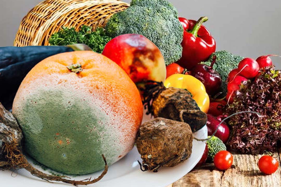 Reasons why vegetables change color during storage. Graphics: Thien Nhan