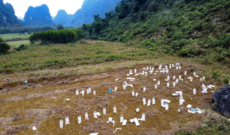 Canh hoi ha tren cac thua ruong trong dong rieng (o xa Cam Thach, tinh Thanh Hoa) nhung ngay can Tet. Anh: Quach Du