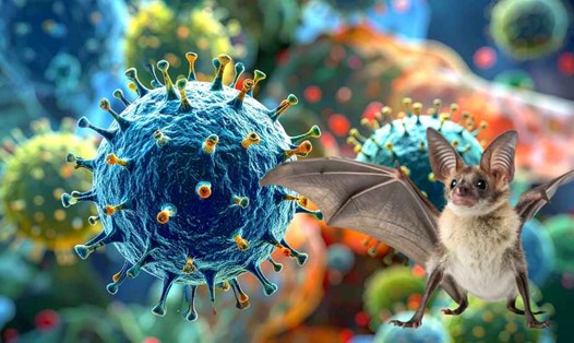 Phòng virus Nipah: Siết chặt giám sát cơ sở chăn nuôi, khu vực nhiều dơi