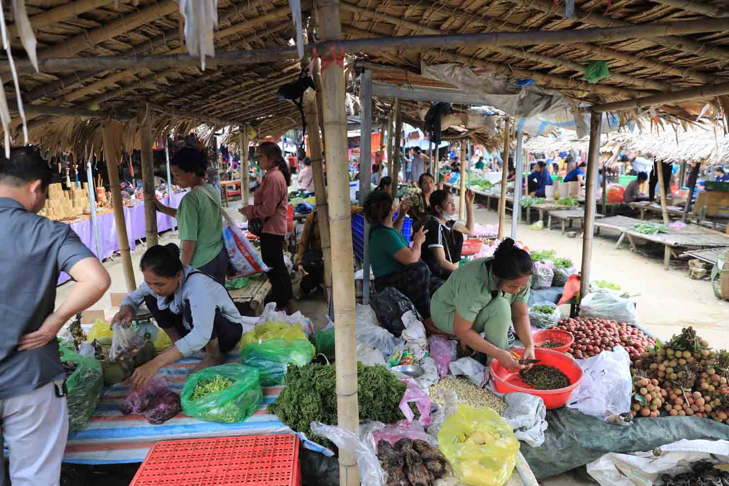 Những sản vật núi rừng của đồng bào vùng cao xứ Thanh được bày bán la liệt.