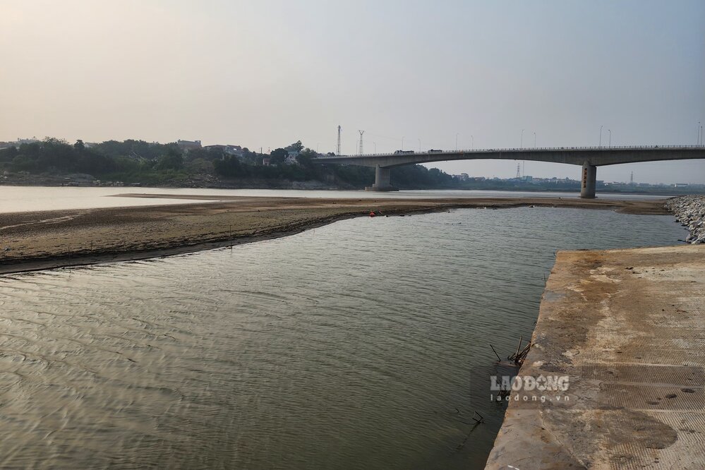 Tai khu vuc cau Phong Chau, con cat noi len giua song, nuoc song can thap hon nhieu so voi ben cau phao cu. Anh: To Cong.