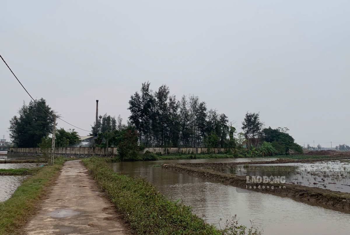 Khu vực bãi rác xã Xuân Trường, tỉnh Ninh Bình. Ảnh: Lương Hà
