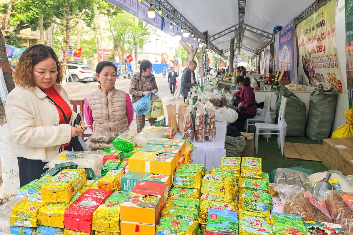 The program takes place from January 28 to February 1 in the city center area. Photo: Hai Phong City E-Portal