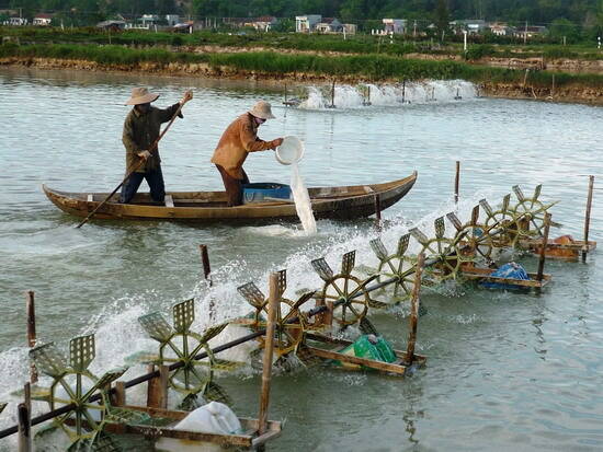 Chức năng, nhiệm vụ của Quỹ bảo vệ và phát triển nguồn lợi thủy sản được quy định tại Điều 5 Nghị định số 41/2026/NĐ-CP của Chính phủ. Ảnh: VGP

