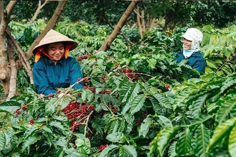 Reasons why Vietnamese agricultural exports reached many records in 2025