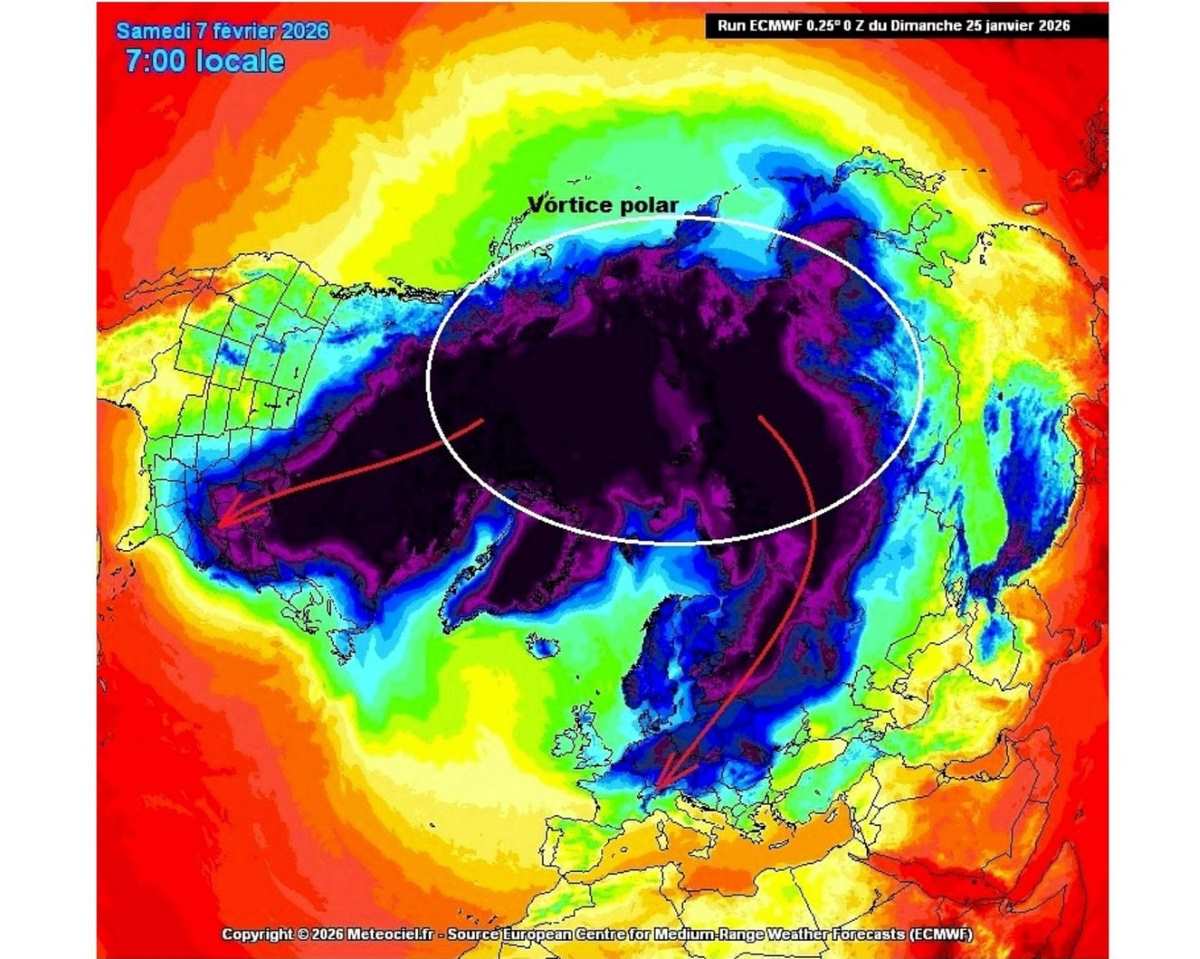 Du bao khong khi lanh tu Bac Cuc lien tuc tran xuong tu nay den ngay 7.2.2026. Anh: ECMWF/ Meteociel.fr