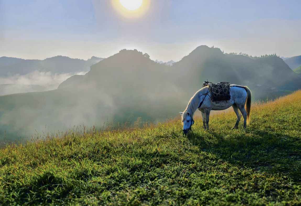 Khung cảnh buổi sáng bình minh trên đồi cỏ Vinh Quý, Cao Bằng. Ảnh: Tân Văn