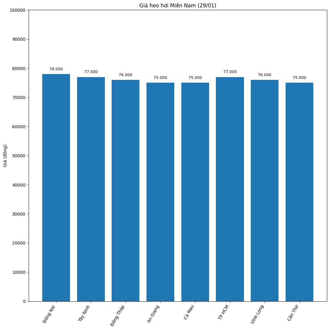 Gia heo hoi hom nay o khu vuc mien Nam. Do hoa: Thuy Linh.