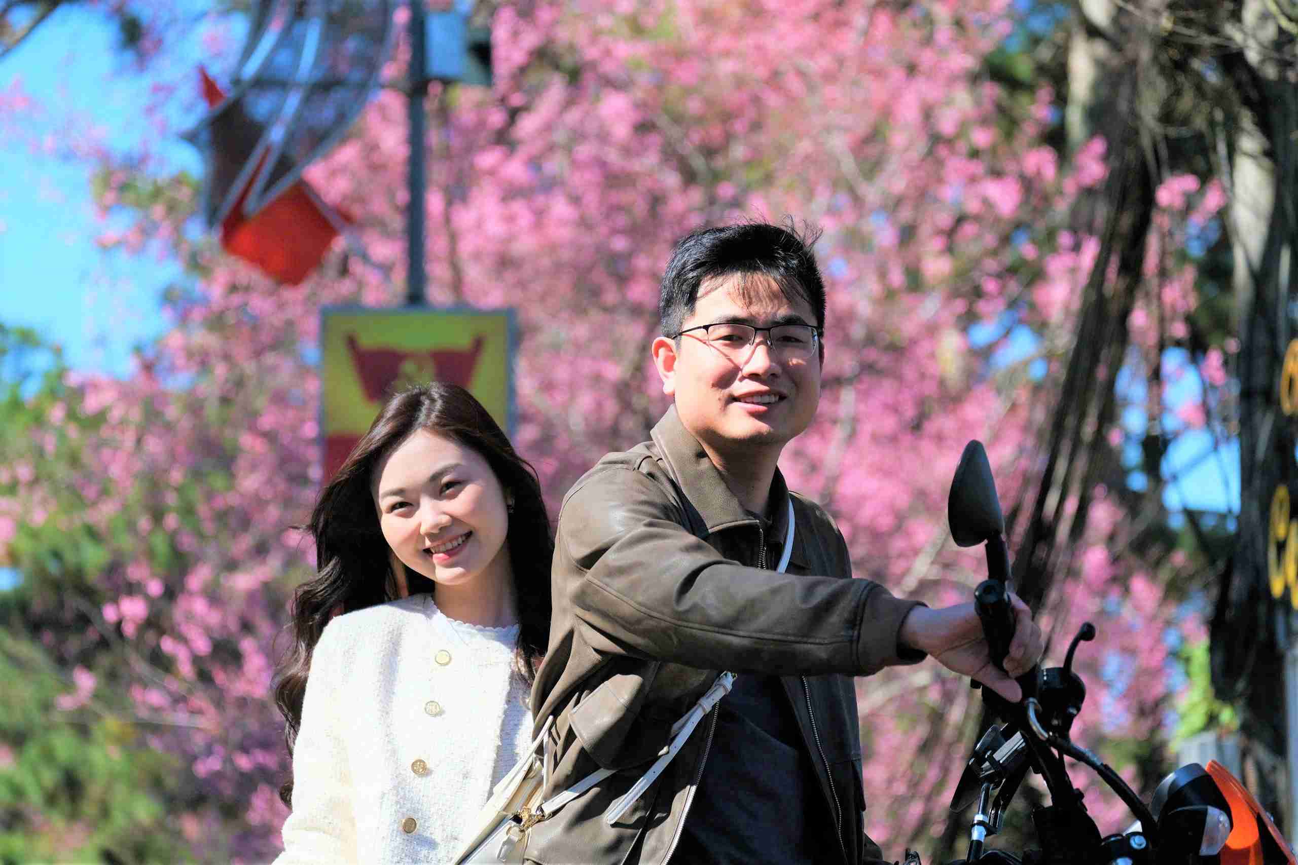 Dưới tán mai anh đào bung nở, nhịp sống của đôi bạn trẻ khi đến Đà Lạt dường như chậm lại, nhẹ nhàng và thư thái hơn. Ảnh: Phúc Khánh