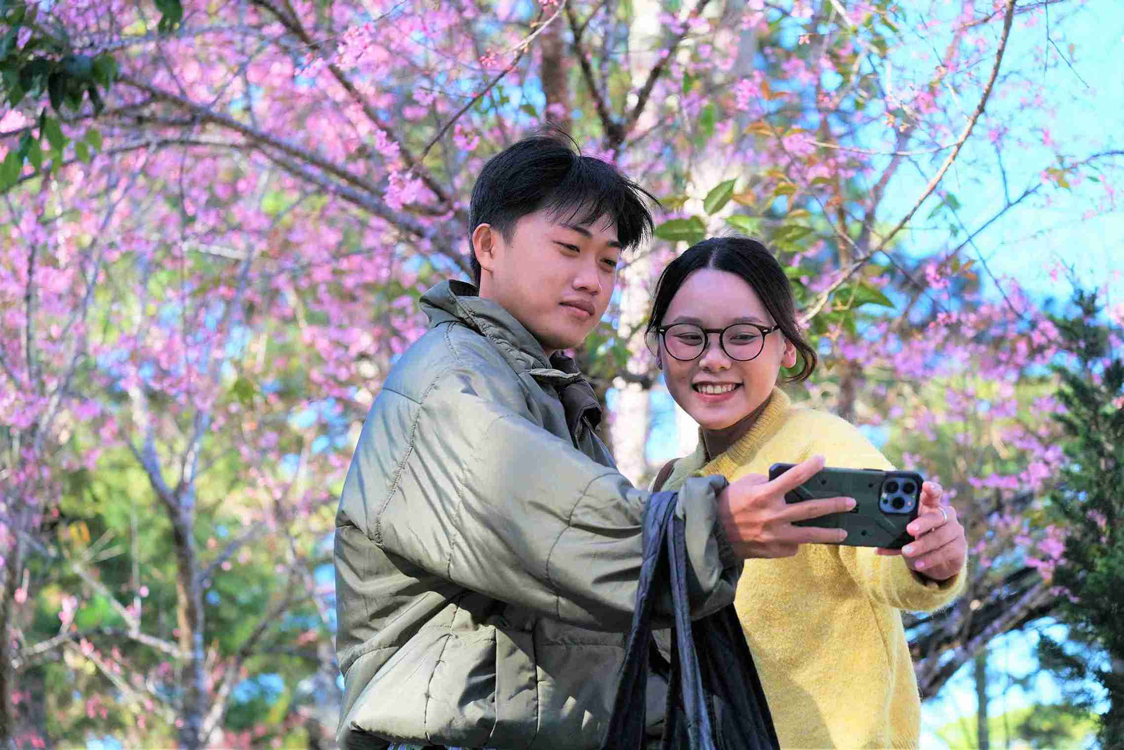 Đôi bạn trẻ cùng nhau ghi lại những khoảnh khắc ấn tượng bên hoa mai anh đào đang mùa bung nở ở Đà Lạt. Ảnh: Phúc Khánh